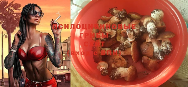 MESCALINE Елабуга