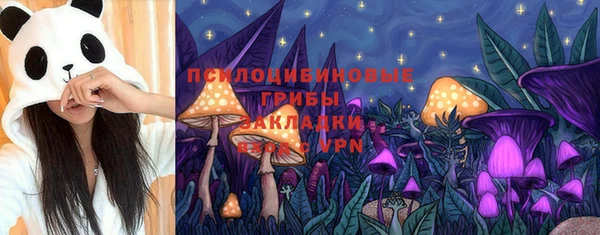 MESCALINE Елабуга
