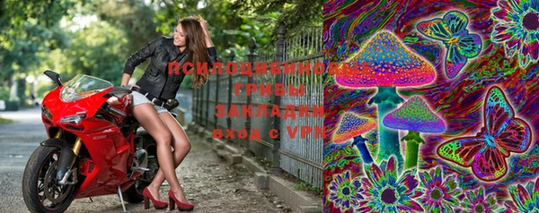 марки lsd Елизово
